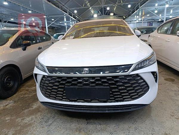 بي واي دي Qin Plus 2025 للبيع في العراق -  بغداد